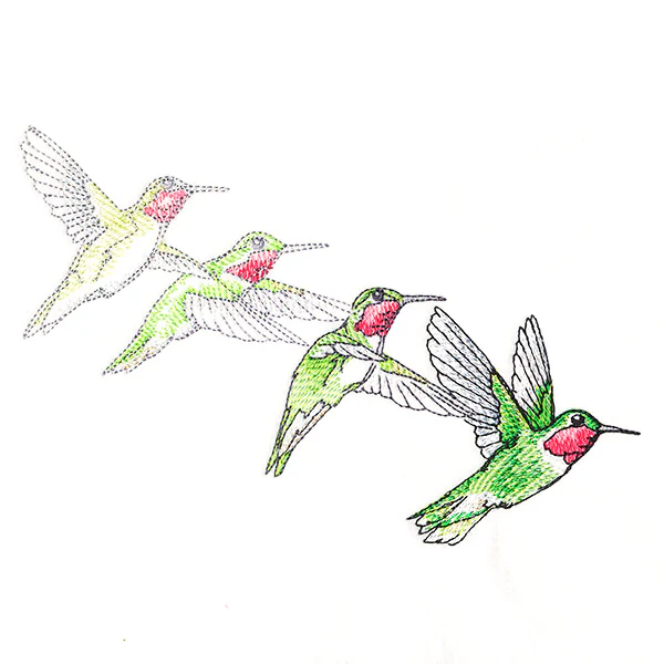 Hummingbirds in Flight - Image 3