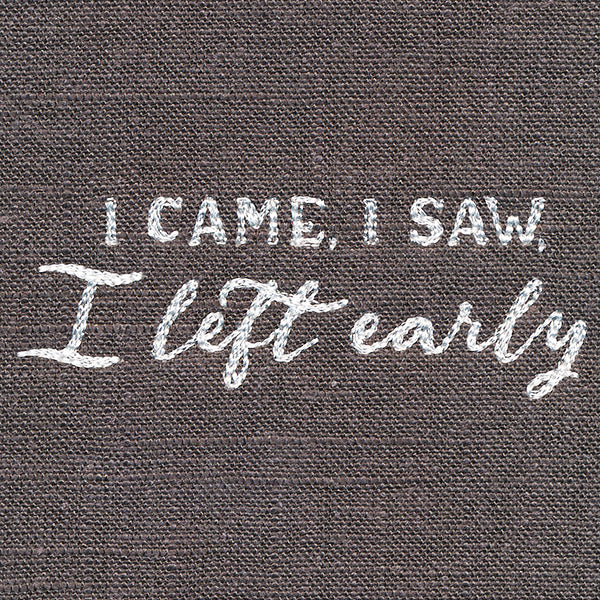 I Came, I Saw, I Left Early - Image 5