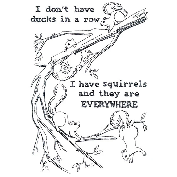 I Have Squirrels Everywhere - Image 2