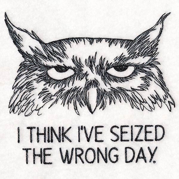 I Think I've Seized the Wrong Day Owl - Image 5
