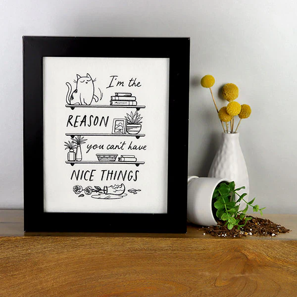 I'm the Reason You Can't Have Nice Things Bookshelf - Image 6