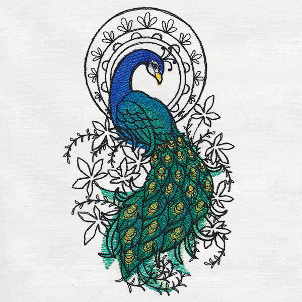 Indian Peacock - Image 3