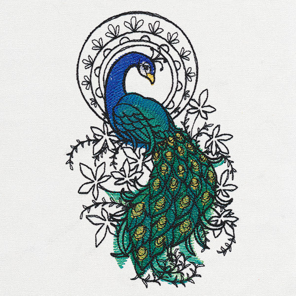 Indian Peacock - Image 4