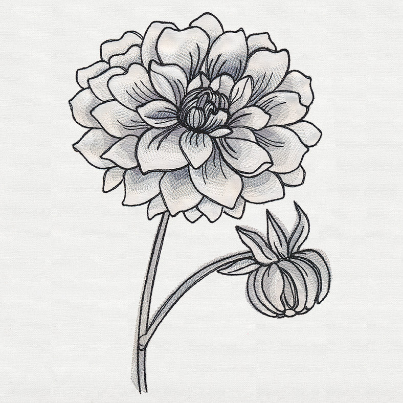 Ink & Wash - Dahlia - Image 6