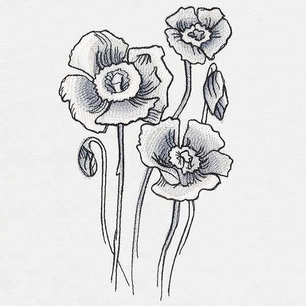 Ink & Wash - Poppies - Image 3