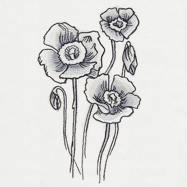 Ink & Wash - Poppies - Image 4