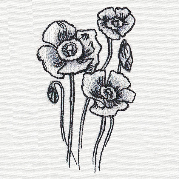 Ink & Wash - Poppies - Image 5