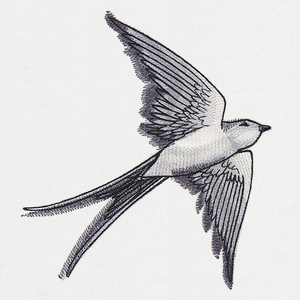 Ink & Wash - Swallow - Image 2