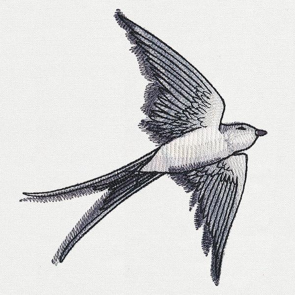 Ink & Wash - Swallow - Image 3