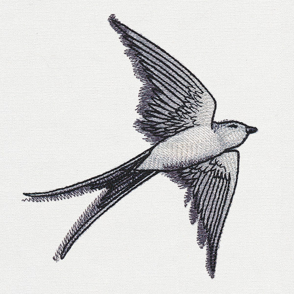 Ink & Wash - Swallow - Image 4