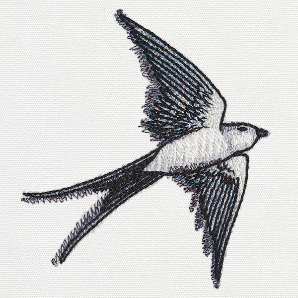 Ink & Wash - Swallow - Image 5