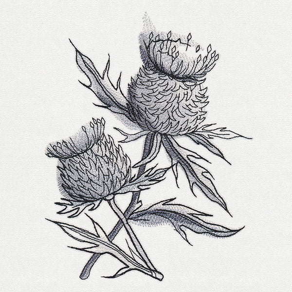Ink & Wash - Thistle - Image 3