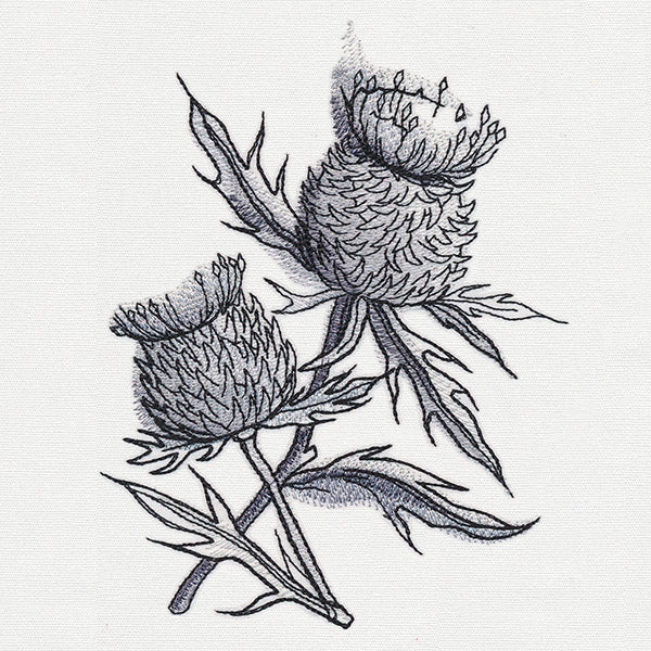 Ink & Wash - Thistle - Image 4