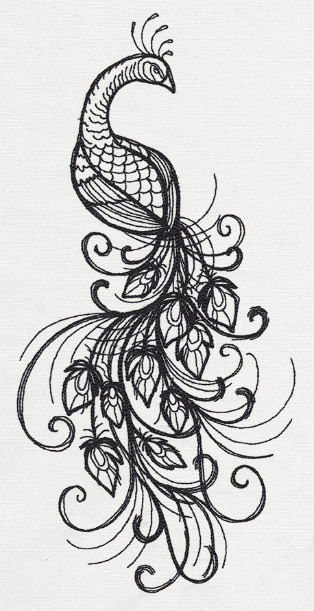 Inked Peacock - Image 6