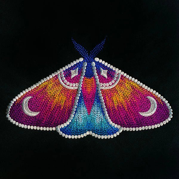 Into the Night Celestial Details Moth