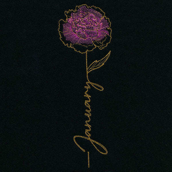 January Birth Flower - Carnation