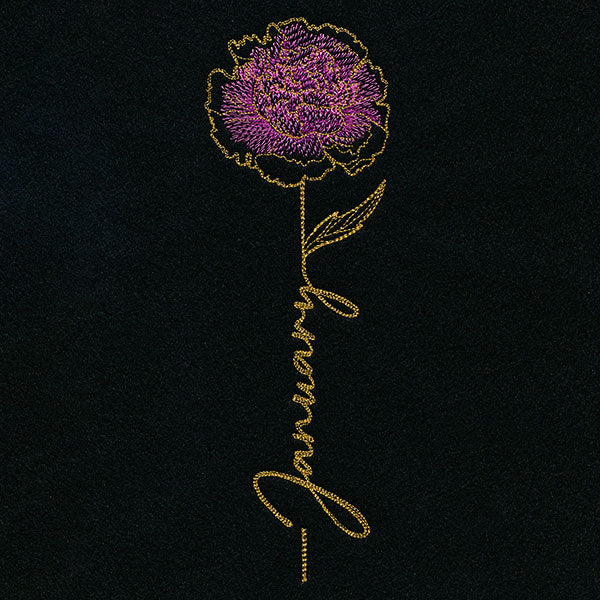 January Birth Flower - Carnation - Image 4