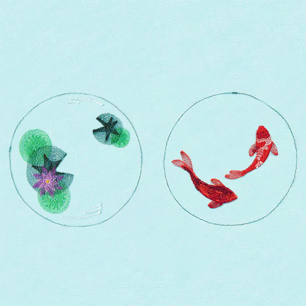 Koi Pond Shadowbox (Organza) - Image 7