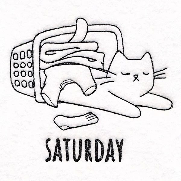 Laundry Mussing Cat on Saturday - Image 3