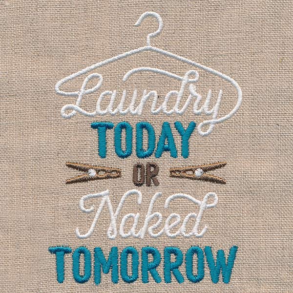 Laundry Today or Naked Tomorrow - Image 4