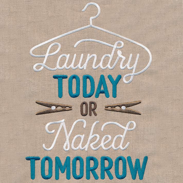 Laundry Today or Naked Tomorrow - Image 5