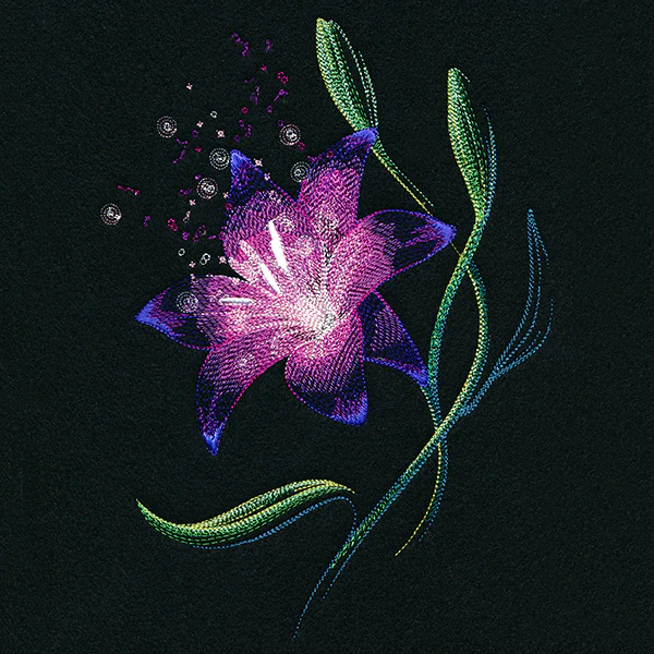 Lily of Wonder - Image 7