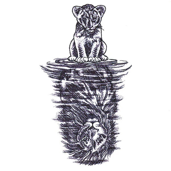 Lion Reflection - Image 7