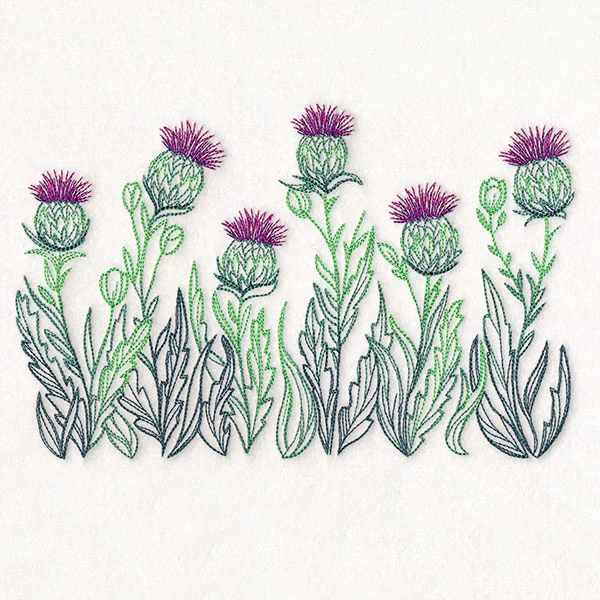 Lively Thistle Border - Image 3