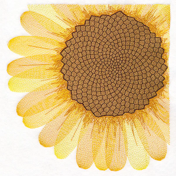 Macro Sunflower Square
