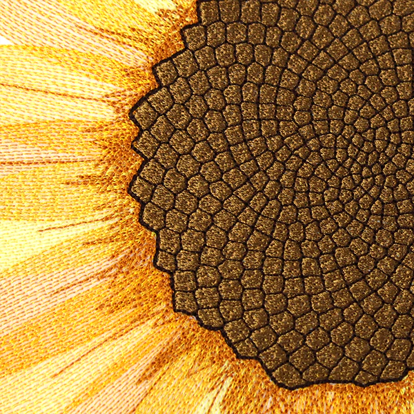 Macro Sunflower Square - Image 4