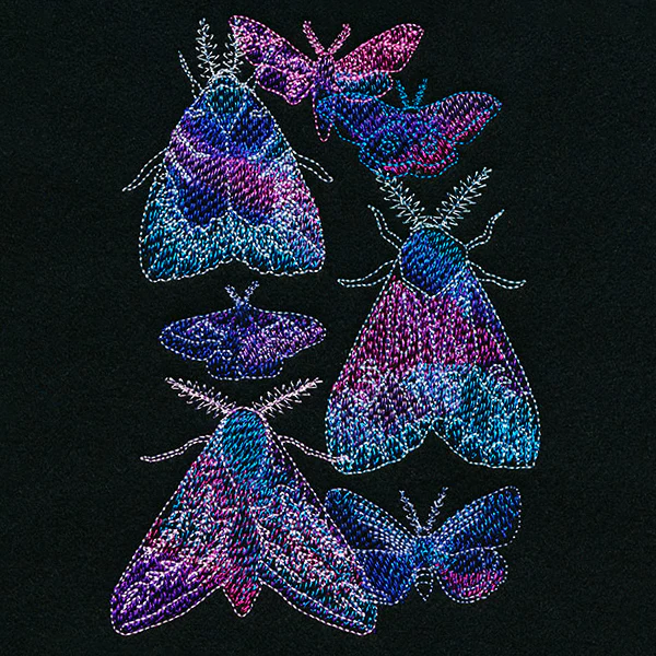 Magical Moth Collage - Image 5
