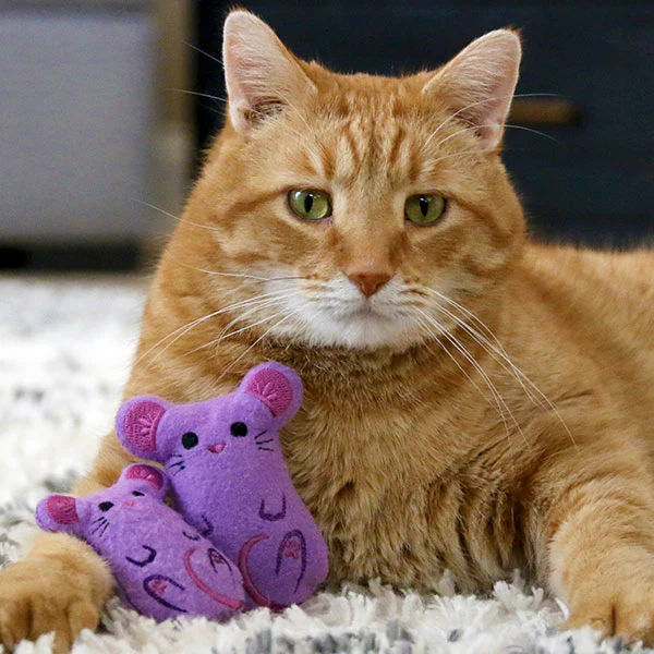 Meowy Mouse Cat Toy (In-the-Hoop) - Image 3