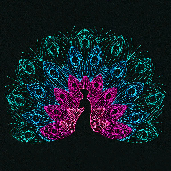 Mesmerizing Peacock - Image 7