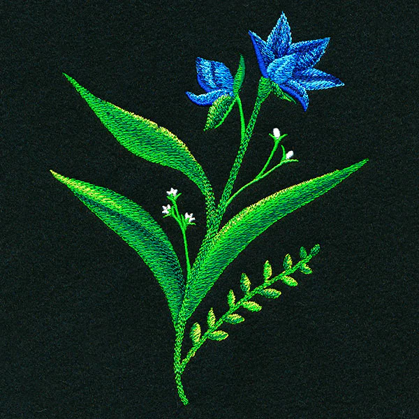 Mesmerizing Wildflowers - Short - Image 3