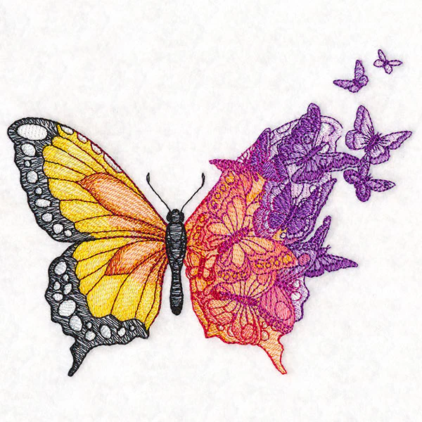 Metamorphosis Butterfly - Image 3