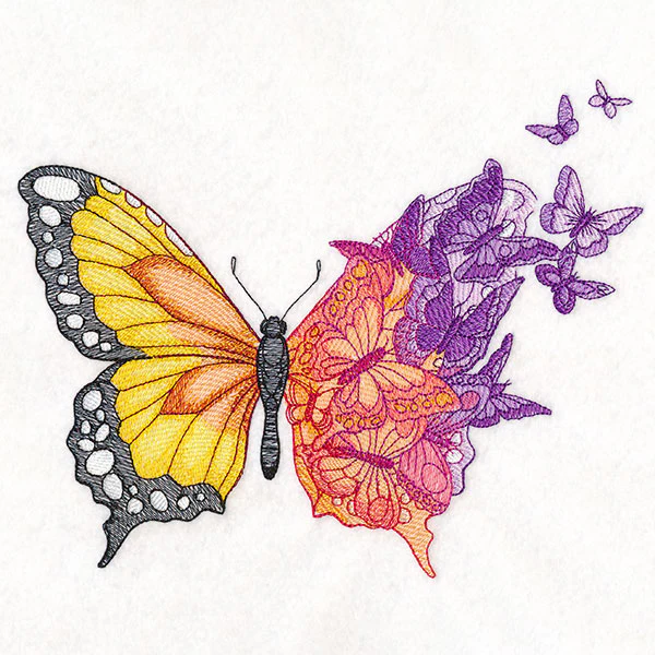 Metamorphosis Butterfly - Image 4