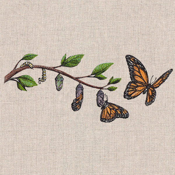 Metamorphosis Monarch - Image 3