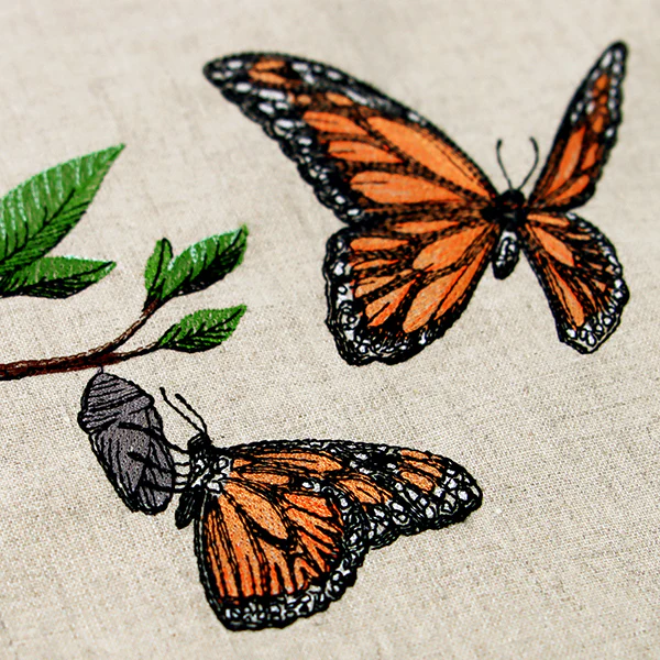 Metamorphosis Monarch - Image 4