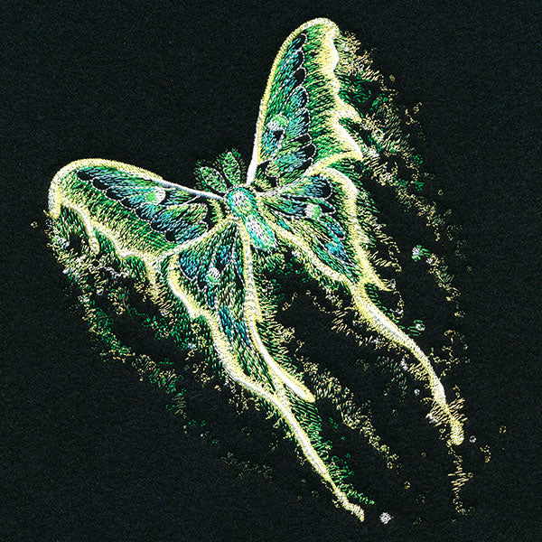 Midnight Dreams Moth - Image 3