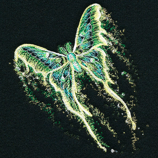 Midnight Dreams Moth - Image 5