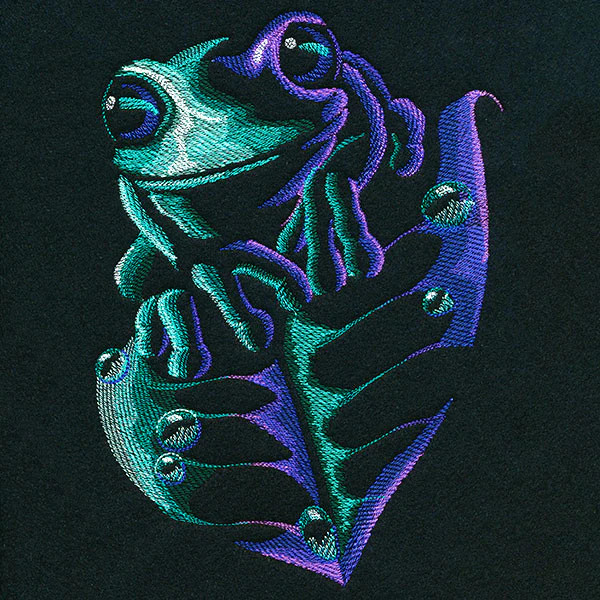 Midnight Wondrous Frog - Image 9