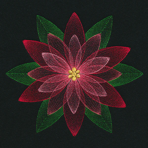 Mirage Poinsettia