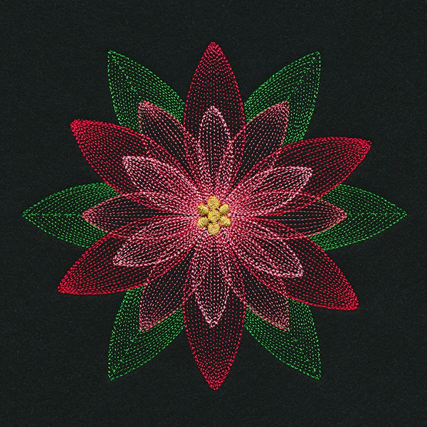 Mirage Poinsettia - Image 3