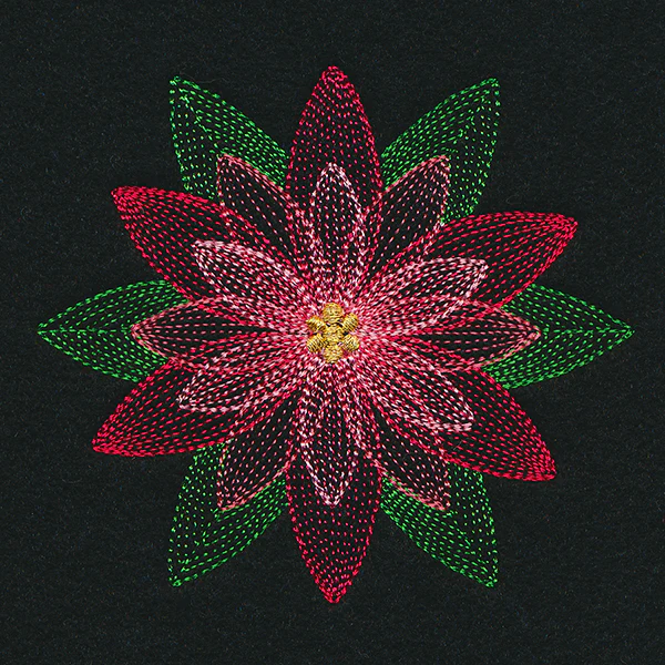 Mirage Poinsettia - Image 4