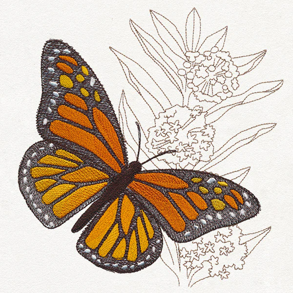 Monarch Magic - Image 5