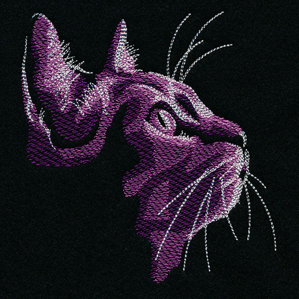 Moonlit Kitties - Looking Up - Image 7