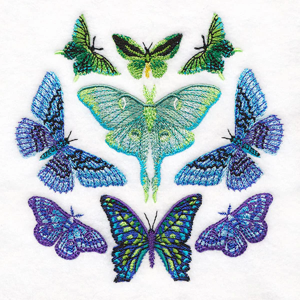 Moth Magic Eclipse - Image 7
