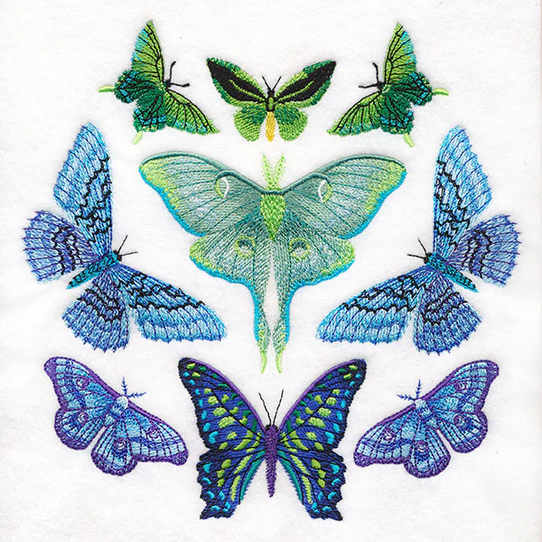 Moth Magic Eclipse - Image 9
