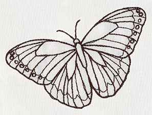Nature's Curiosities Butterfly - Image 3