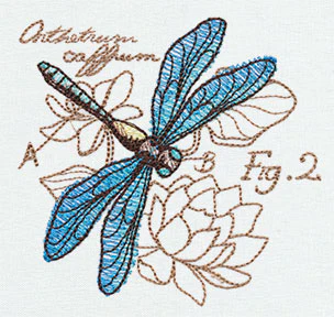 Nature's Curiosities Dragonfly Diagram - Image 3